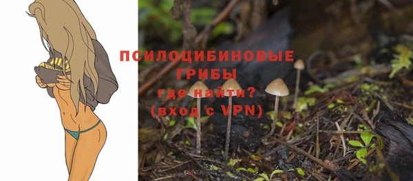 скорость Аркадак