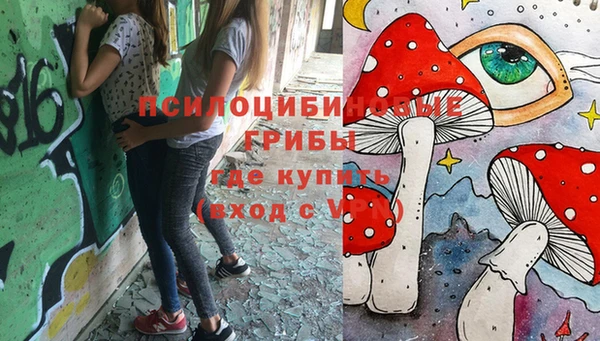 шишки Алексеевка