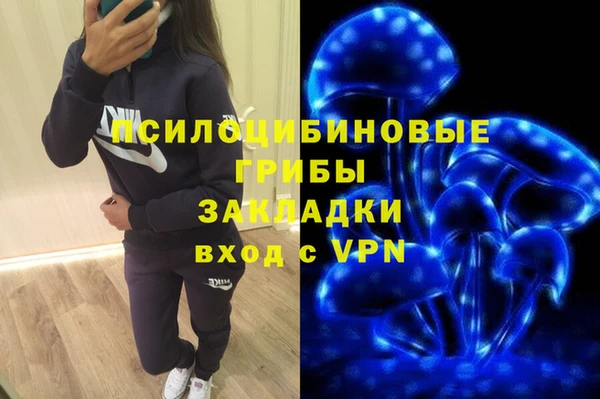 шишки Алексеевка
