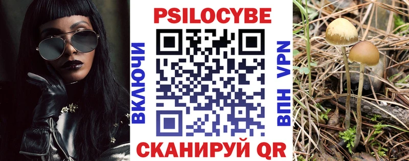 MEGA как войти  Белово  Псилоцибиновые грибы GOLDEN TEACHER 