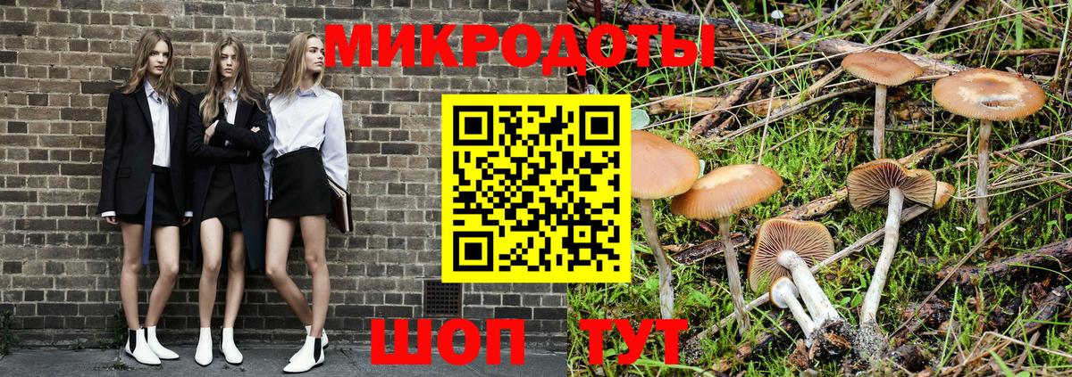 Псилоцибиновые грибы Cubensis Белово