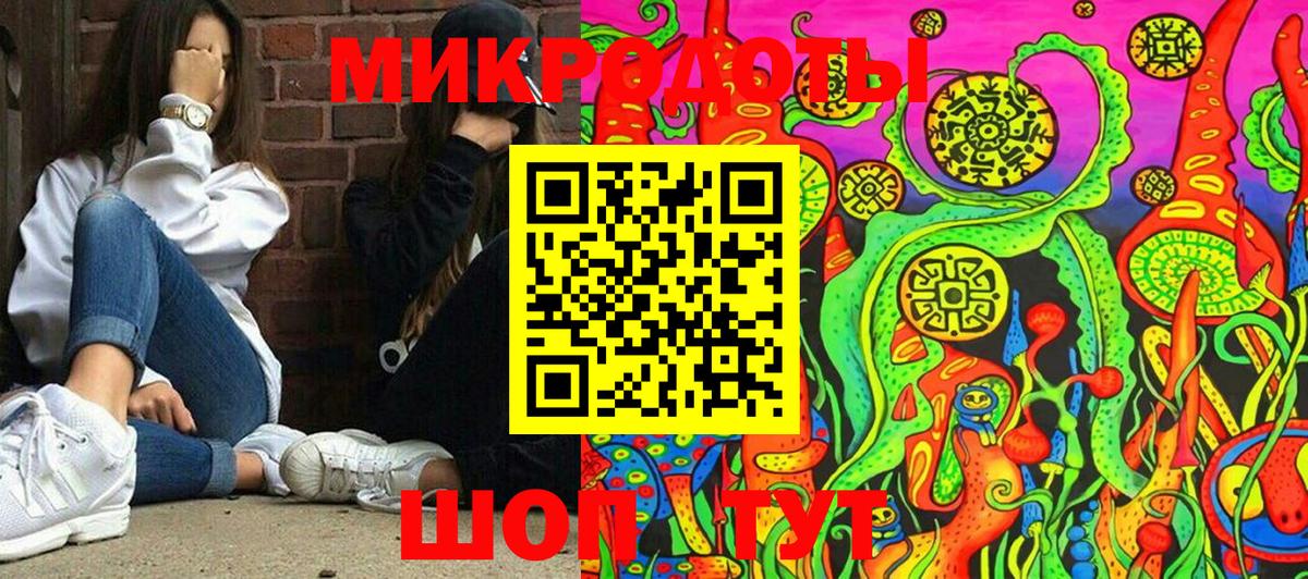 Псилоцибиновые грибы Psilocybine cubensis  Белово  закладка  Псилоцибиновые грибы Magic Shrooms 